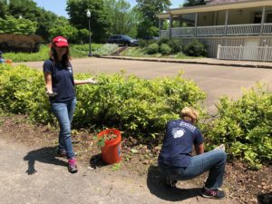 Landscaping