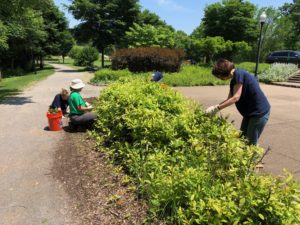 Landscaping