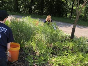 Landscaping work